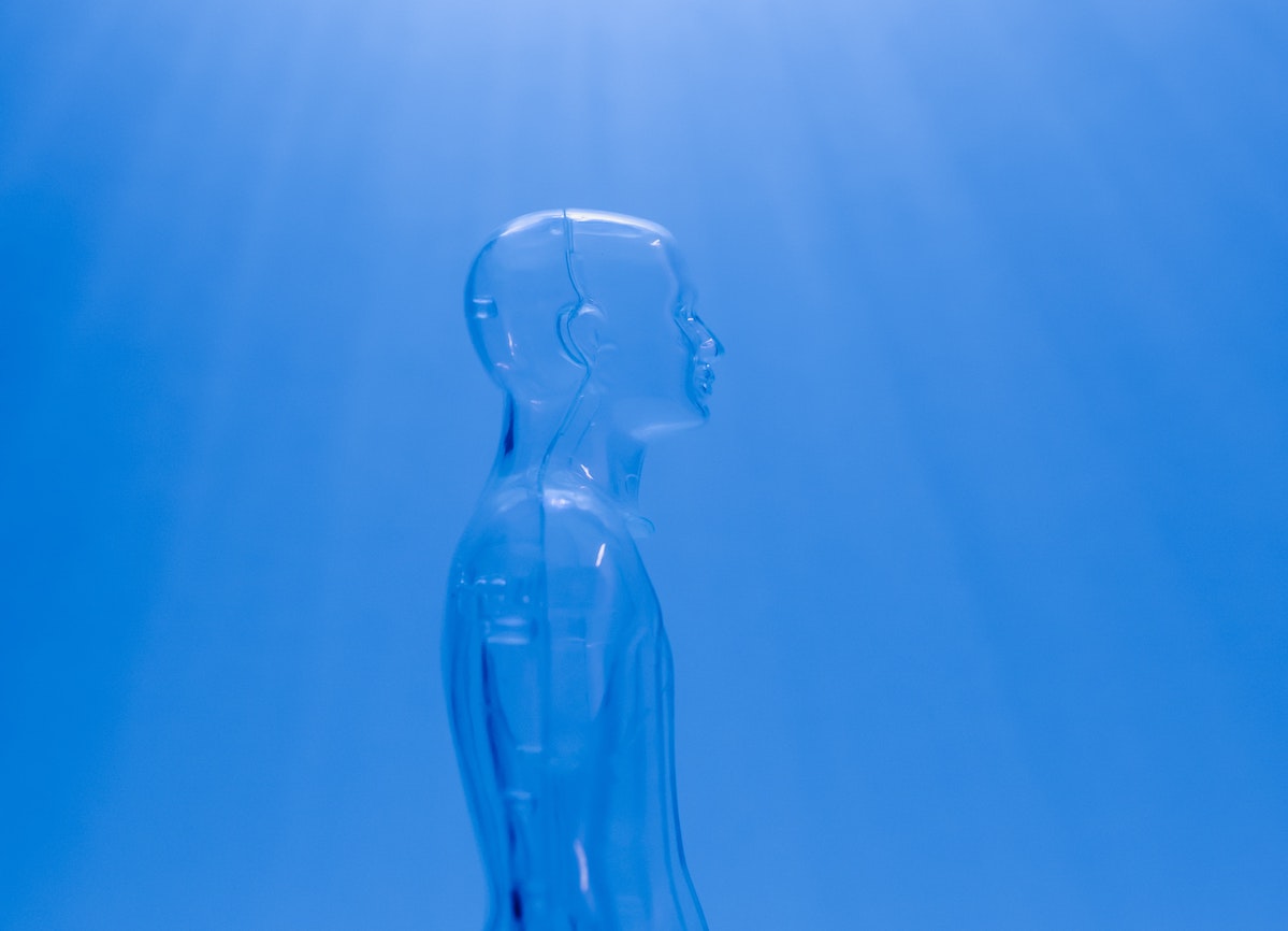 la società senza dolore